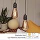 hellum Hängelampe mit Batterie und Fernbedienung outdoor 2er Set, goldene Glühbirne mit Batterie und Timer, ST64, Ø 6,4 x 13,8cm, Hängelampe für außen mit Fernbedienung, Deko Hochzeit 151411
