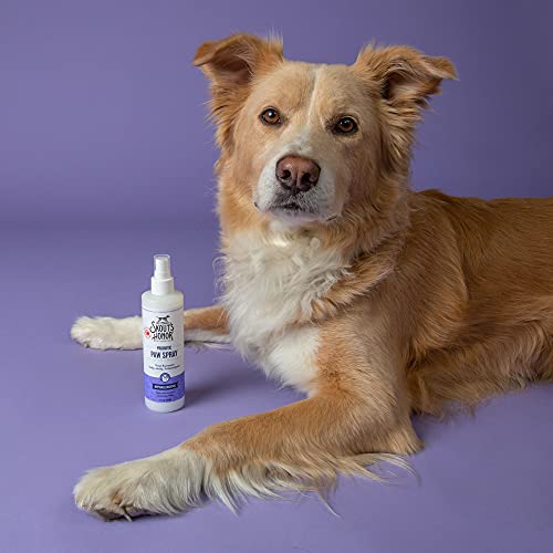 SKOUT'S HONOR Probiotic Paw Spray - Image 5