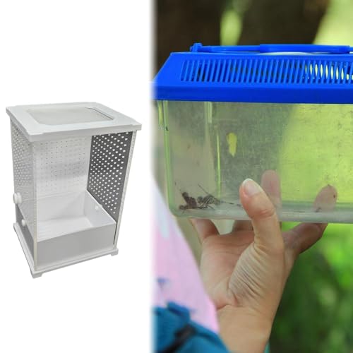 Terrarium de fenêtre pour insecte et reptile idéal pour observer - 5