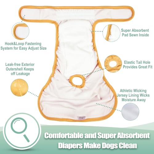 Image of wegreeco Washable Dog Diapers (3 Pack), Highly Absorbent Dog Diapers Female for Doggie Puppy in Heat, Period, Incontinence, or Excitable (Blue Green Yellow, Medium)