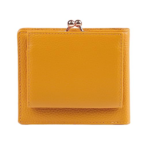 [YfCY]܂z fB[X ܌ {v (}X^[h)