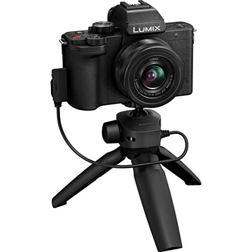 Panasonic Dc-G100Vk Lumix G100 Mirrorless Camera 4K Vlogging Kit With 12-32Mm Lens + Dmw-Shgr1 Tripod Grip Bundle With Deco Gear Case + Microphone + 64Gb Card + Photo Video Software Kit & Accessories #TOP2