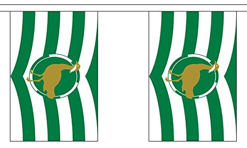Flagtex Wiltshire New Fabric Bunting – 9m with 30 Flags – Premium Indoor & Outdoor Decoration — image 1