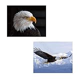 American Eagle- 2 Print Set- 8 x 10's Wall Art- Ready to Frame- Home Décor, Office Décor & Wall...