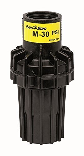 Rain Bird Druckminderer/Druckreduzierer 3/4" x 3/4" IG PSI-M30