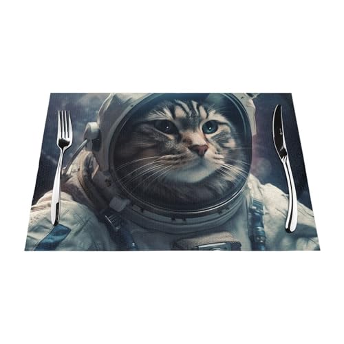 Set de table PVC anti-chaleur antidérapant chat de l'espace lavable