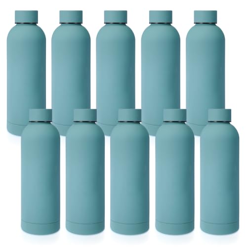 Bokon 10 Pcs 17 oz Stainless Steel Water Bottles Bulk, Light Blue
