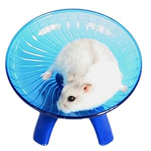 Kentop Loopfiets hamsterwiel hamsterrunner loopplaat voor hamsters, chinchilla’s, cavia’s, eekhoorns