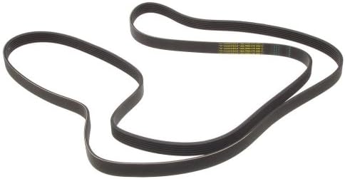 ContiTech Multi Rib Belt