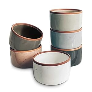 Mora Ceramic Ramekins – 6oz, Set of 6 – Small Oven Safe Baking Dishes/Cups – For Personal Pudding, Creme Brulee, Souffle, Serving Dip, Custard, Ice Cream – Single Mini Bowls – Assorted Neutrals