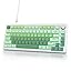 Light green/White Switch