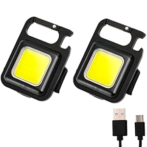 DOINBE 2 Pieces Small Portable Keyring LED Work Light, 500 Lumen COB Work Light, Rechargeable Keychain Mini Torch for…
