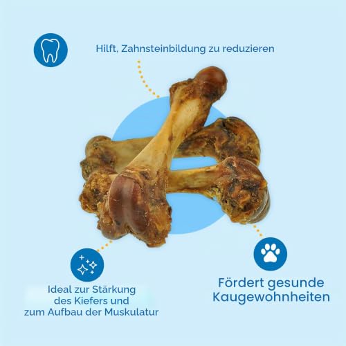 Großer Knochenleckerbissen für Hunde - Große, 100% natürliche Schweineknochen zum Kauen für Hunde, ideal für aggressives Kauen (Schwein, 4 Stück)