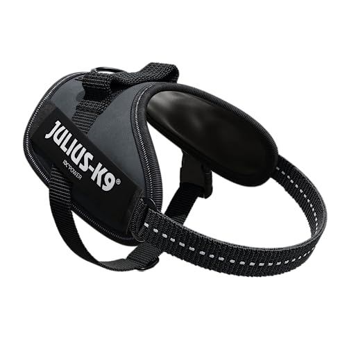 Julius-K9, IDC Powergeschirr, Größe: XS / Mini-Mini, Anthrazit