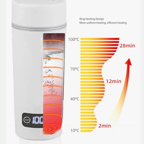 Tetera eléctrica portátil ZJchao acero inoxidable 350ml miniatura 3