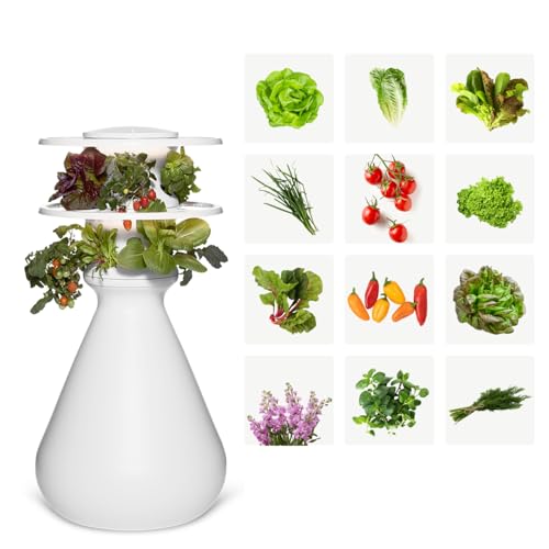 Lettuce Grow Farmstand