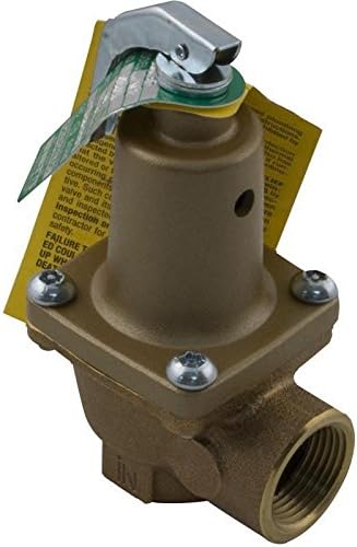 Raypak Parts 007224F Pressure Relief Valve - 125 Psi