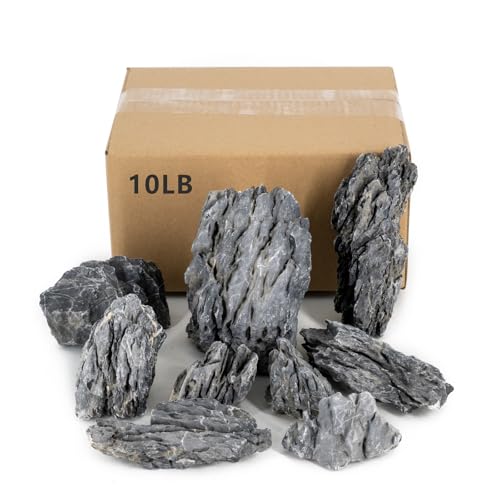 ChaoLeHo Seiryu Stones 10lb