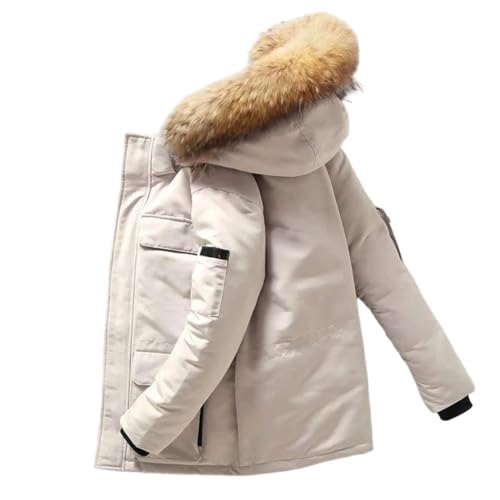 Y  _EWPbg n t@[ t[ht g p[J[ AEghA zf[ AE^[EFA