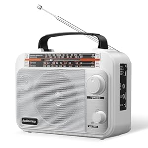 Audiocrazy UKW/MW/KW Radio Weiß