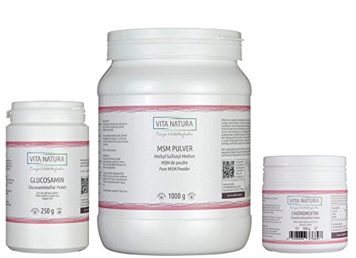 Preisvergleich Produktbild Vita Natura - Chondroitin (100 g) + Glucosamin (250 g) + MSM (1 kg)