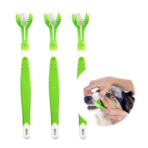 Top 10 Dog Toothbrushes of 2022 Best Reviews Guide