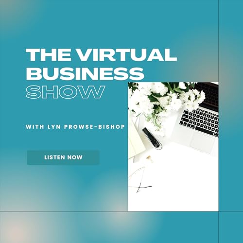 Page de couverture de The Virtual Business Show