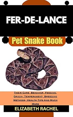 Curated visual reference: Fer De Lance Pet Snake Book Their Care Behavior Feeding Photo Inspiration