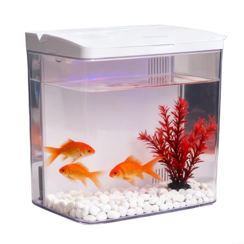 Piccolo acquario in vetro da 8 litri con filtro e luce, kit all-in-one per acquario in vetro, con pompa per pesci rossi, betta, gamberetti, bianco (nero)