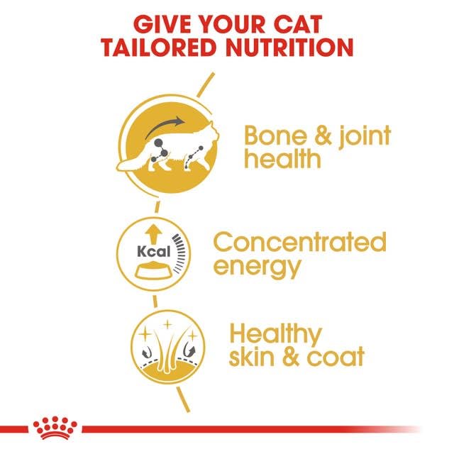 ROYAL CANIN Maine Coon Adult | Doppelpack | 2 x 12 x 85 g | Nassfutter speziell auf die Bedürfnisse von Maine Coon Katzen abgestimmt | In Soße