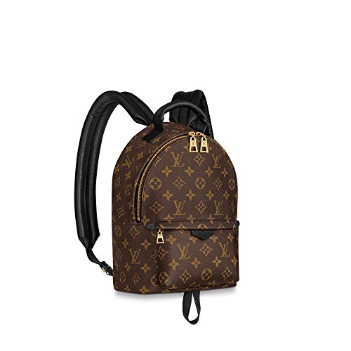 Louis Vuitton Palm Springs Backpack (PM)