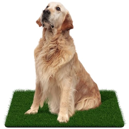 Best artificial grass rugs
