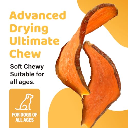 iPaw Sweet Potato Chews for Dogs, 100% Sweet Potato Single Ingredient Dog Treats for Vegetarian, Human Grade Puppy Chew, Rawhide Alternative, Hypoallergenic, Easy to Digest, Natural Dog Treats (100g) - Image 3