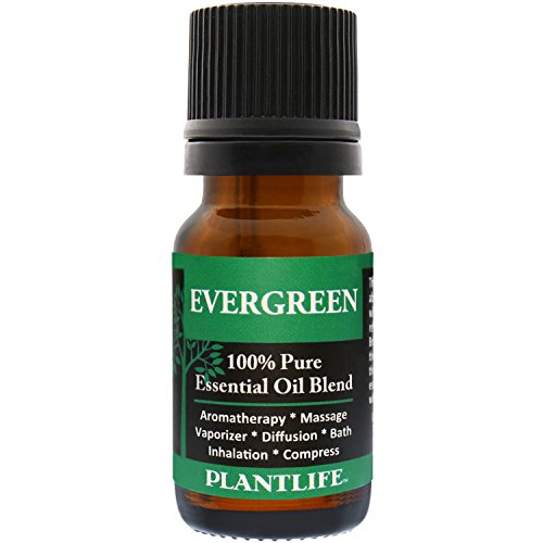 Plantlife Evergreen Aromatherapy Essential Oil Blend - Straight From The Plant 100% Pure Therapeutic Grade - No Additives Or Fillers - Made In California 10 Ml #TOP18