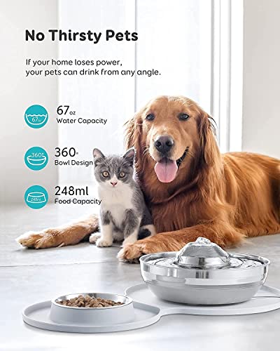 Dispensador Automático de Agua 4L para Gatos con Fuente y Comedero Acero Inoxidable miniatura 2