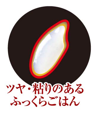 Amazon | タイガー 圧力IH炊飯ジャー（5.5合炊き） カカオブラウン
