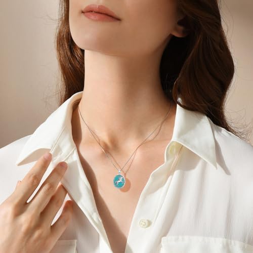 Genuine Turquoise Horse Necklace, Sterling Silver Native American Boho Western Pendant Jewelry Birthdays Gift for Women4