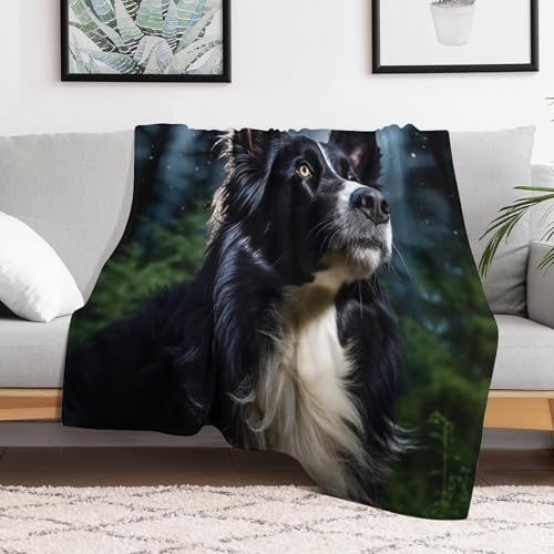 Couverture Border Collie 3D idéale pour vos soirées canapé cocooning - 3