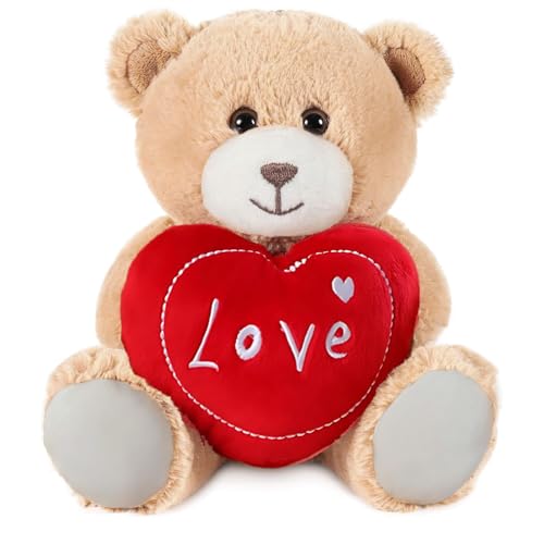AHEJIOO Teddybär mit Herz - Kuscheltier mit Ich Liebe Dich Botschaft, Teddy I Love You, 25 cm Plüschteddy für Valentinstag, Geburtstag und als Liebesbeweis