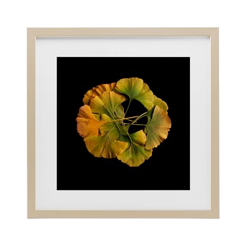 Impression encadrée Ginkgo tableau robuste facile à suspendre décoration sans effort