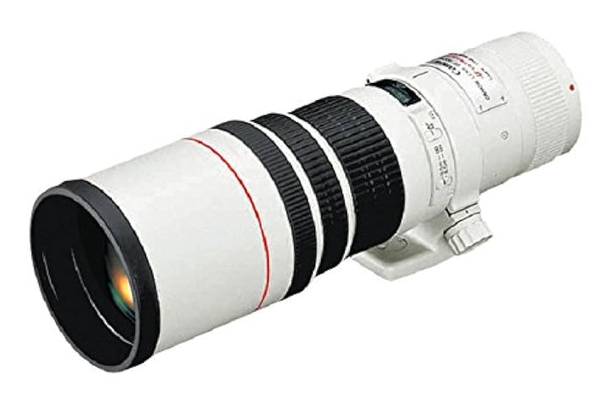 ✨美品✨Canon EF 400mm F5.6 L USM 単焦点レンズ Canon EF 400mm f/5.6 L USM Lens : Amazon.ca: Electronics