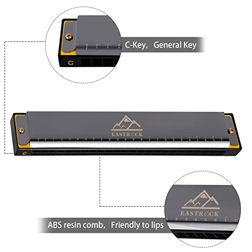 Eastrock CSM2020-CSMFR5-152 Blues Harmonica 24 Hole C Key thumb #2