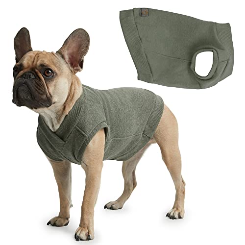 Casual Stretch Comfort Cotton Dog Sweatshirt Sweater Vest for Small Dogs Medium Dogs Big Dogs 3xlarge Olive  Cucciolini Doodles Casual stretch comfort cotton dog sweatshirt sweater vest for small dogs medium dogs big dogs 3x large olive   cucciolini doodles