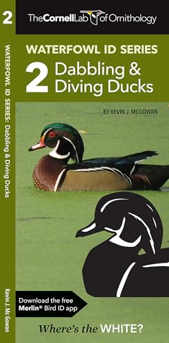 Cornell Lab of Ornithology Waterfowl ID Series: 2 Dabbling & Diving Ducks: Cornell Lab of Ornithology Bird ID Series (Nature Observation North America) Cornell Lab of Ornithology Waterfowl ID Series: 2 Dabbling & Diving Ducks: Cornell Lab of Ornithology Bird ID Series (Nature Observation North America)