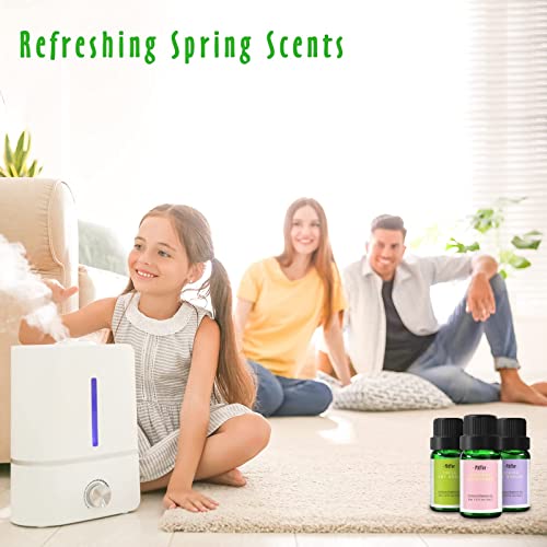 Men's Club And Spring Fragrance Oils, Mitflor 12 Bottles Premium Scented Oils For Diffuser, Soap And Candle Making Scents, Aromatherapy Oils Gift Sets #TOP5