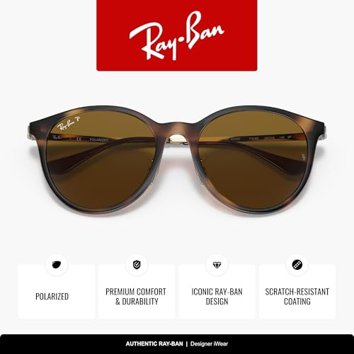 Image of Ray-Ban RB4334D Round Sunglasses for Men for Women