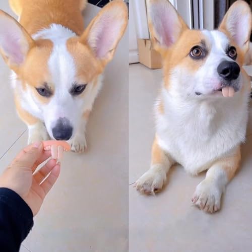 Lustiges Hundegebiss, Gebiss Für Hunde, Falsche Zahnspange Für Hunde, Kreatives Hundesilikonzahnspielzeug, Hunde-Halloweenkostüm Deko-Zubehör