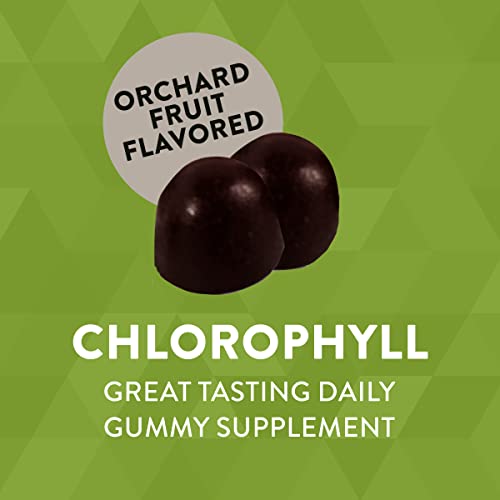 Nature’s Way Chlorophyll Gummies, Healthy Skin And Body Detox*, Orchard Fruit Flavored, 60 Gummies #TOP1