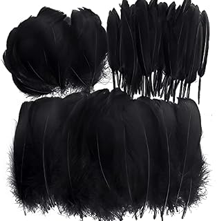 VEGCOO White Feathers, 360 Pcs Natural Craft Feathers Black Goose Feathers for DIY Dream Catcher Crafts/Art Hats/Handicrafts/Home Decoration (Black)