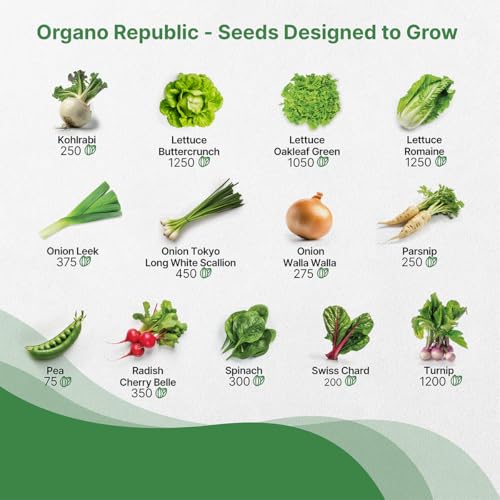 Organo Republic 25 Winter Vegetable & Green Seeds Variety Pack for Outdoors & Indoor Home Gardening 27670+ Non-GMO Heirloom Seeds: Broccoli Beet Carrot Collard Lettuce Radish Spinach Pea Kohlrabi - Image 5
